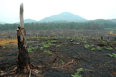 Governor of Riau Supported the Audit to Prevent Fire in the Forest and Area